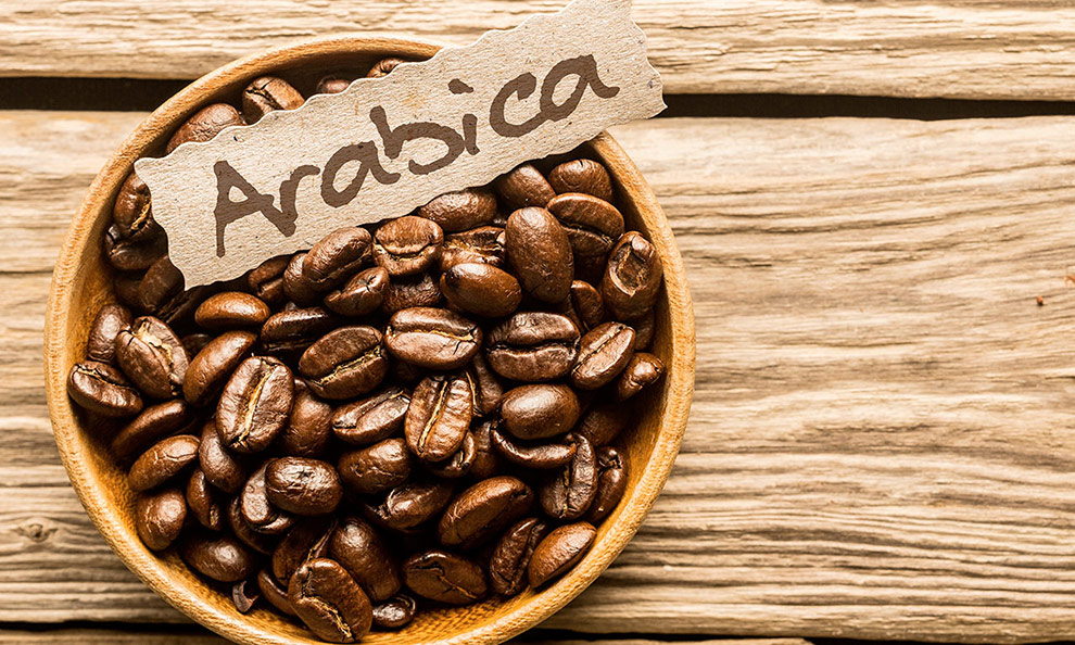café arabica