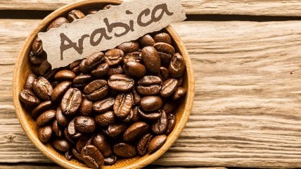 Tout ce que vous devez savoir sur le café Arabica